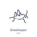 Linear grasshopper icon from Animals and wildlife outline collection. Thin line grasshopper vector isolated on white background.