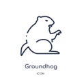 Linear groundhog icon from Animals and wildlife outline collection. Thin line groundhog vector isolated on white background.