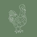 Linear hand-drawn rooster. Line art. Farm poultry. Rooster linear icon Royalty Free Stock Photo