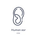 Linear human ear icon from Human body parts outline collection. Thin line human ear icon isolated on white background. human ear