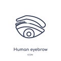 Linear human eyebrow icon from Human body parts outline collection. Thin line human eyebrow icon isolated on white background.