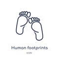 Linear human footprints icon from Human body parts outline collection. Thin line human footprints icon isolated on white