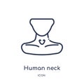 Linear human neck icon from Human body parts outline collection. Thin line human neck icon isolated on white background. human