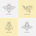 Linear icons bee.