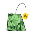linear illustration with an abstract bag of green