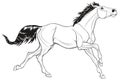 Linear illustration of a galloping stallion. Royalty Free Stock Photo
