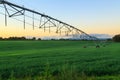 A long watering system in lush green farmland