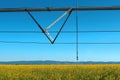 Linear or lateral move irrigation with rotator style pivot applicator sprinkler in rapeseed field Royalty Free Stock Photo