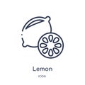 Linear lemon icon from Fruits outline collection. Thin line lemon icon isolated on white background. lemon trendy illustration