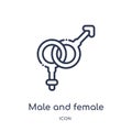 Linear male and female gender icon from Human body parts outline collection. Thin line male and female gender icon isolated on