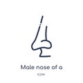 Linear male nose of a line icon from Human body parts outline collection. Thin line male nose of a line icon isolated on white