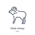Linear male sheep icon from Animals outline collection. Thin line male sheep icon isolated on white background. male sheep trendy