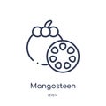 Linear mangosteen icon from Fruits outline collection. Thin line mangosteen icon isolated on white background. mangosteen trendy Royalty Free Stock Photo