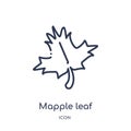 Linear mapple leaf icon from Ecology outline collection. Thin line mapple leaf vector isolated on white background. mapple leaf Royalty Free Stock Photo