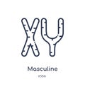 Linear masculine chromosomes icon from Human body parts outline collection. Thin line masculine chromosomes icon isolated on white