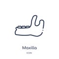 Linear maxilla icon from Dentist outline collection. Thin line maxilla icon isolated on white background. maxilla trendy