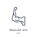 Linear muscular arm icon from Human body parts outline collection. Thin line muscular arm icon isolated on white background. Royalty Free Stock Photo