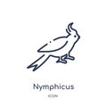 Linear nymphicus hollandicus icon from Animals and wildlife outline collection. Thin line nymphicus hollandicus vector isolated on