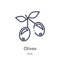 Linear olives icon from Fruits outline collection. Thin line olives icon isolated on white background. olives trendy illustration