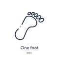 Linear one foot icon from Beauty outline collection. Thin line one foot vector isolated on white background. one foot trendy