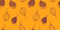 Linear pattern with figs Royalty Free Stock Photo