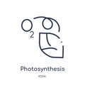 Linear photosynthesis icon from Education outline collection. Thin line photosynthesis vector isolated on white background.