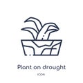 Linear plant on drought icon from Meteorology outline collection. Thin line plant on drought icon isolated on white background.