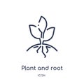 Linear plant and root icon from Ecology outline collection. Thin line plant and root vector isolated on white background. plant