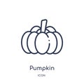 Linear pumpkin icon from Fruits outline collection. Thin line pumpkin icon isolated on white background. pumpkin trendy