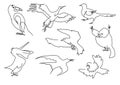 Linear sketch birds silhouette set