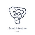 Linear small intestine icon from Human body parts outline collection. Thin line small intestine icon isolated on white background