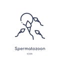 Linear spermatozoon icon from Health and medical outline collection. Thin line spermatozoon icon isolated on white background.