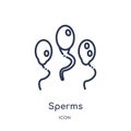 Linear sperms icon from Human body parts outline collection. Thin line sperms icon isolated on white background. sperms trendy