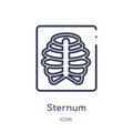 Linear sternum icon from Medical outline collection. Thin line sternum icon isolated on white background. sternum trendy