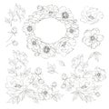 Linear style set of white poppy, hand drawn contour illustration of flowers isolated on a white background. White