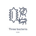 Linear three bacteria icon from Human body parts outline collection. Thin line three bacteria icon isolated on white background.