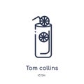 Linear tom collins icon from Drinks outline collection. Thin line tom collins vector isolated on white background. tom collins Royalty Free Stock Photo