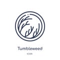 Linear tumbleweed icon from Desert outline collection. Thin line tumbleweed vector isolated on white background. tumbleweed trendy