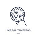 Linear two spermatozoon icon from Human body parts outline collection. Thin line two spermatozoon icon isolated on white