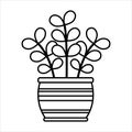 Linear vector moneytree icon. Isolated outline picture of the houseplant Royalty Free Stock Photo