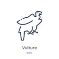 Linear vulture icon from Animals and wildlife outline collection. Thin line vulture vector isolated on white background. vulture