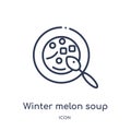 Linear winter melon soup icon from Food outline collection. Thin line winter melon soup icon isolated on white background. winter