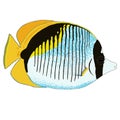 Lined Butterflyfish Vector Illustration