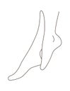 Lined Female Legs