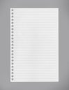 Lined notebook paper on gray background/clipping paths Royalty Free Stock Photo