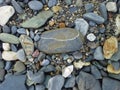 Lined Stone on the Beach