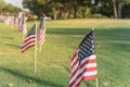 American Flags on green grass lawn Independence Day Royalty Free Stock Photo