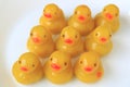 Lined up Baby Ducks Shaped Thai Style Marzipan Sweets or Kanom-Look-Choup Served on White Plate Royalty Free Stock Photo