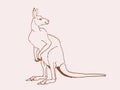 Hand-drawn vintage sketch of kangaroo, vector sepia illustration