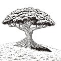 Linedrawing of a big tree on a grassy hill Royalty Free Stock Photo